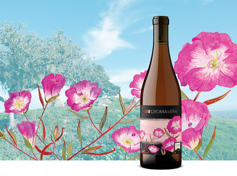 Drink Rosé. Preserve Nature.