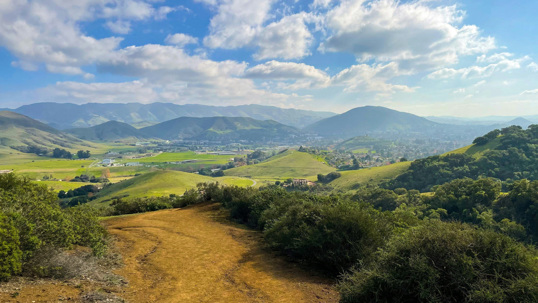 Best Wineries in San Luis Obispo (2025 Edition)