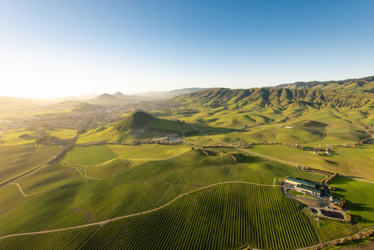 Wine Tasting in San Luis Obispo