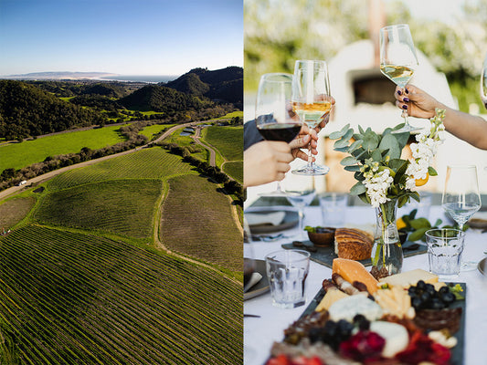 Coastal vineyard with cheese and charcuterie and wine
