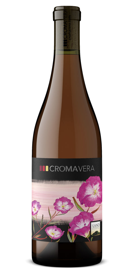 2024 Rosé